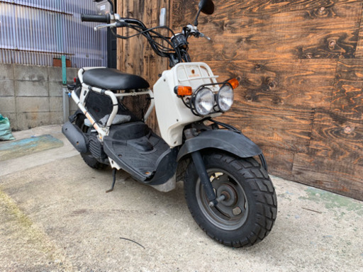 ズーマー　きれいです！