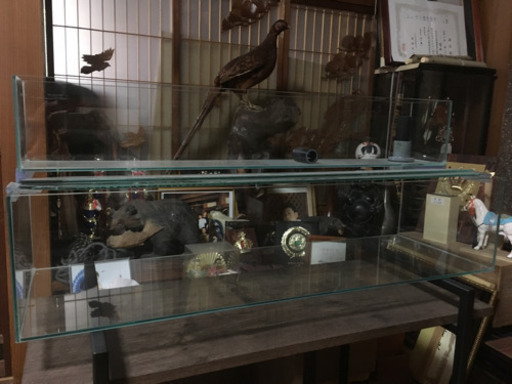 中古オールガラス水槽➕ガラス製オーバーフロー水槽