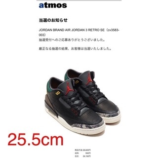 JORDAN BRAND AIR JORDAN 3 RETRO SE 25.5cm