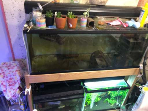 120センチ　水槽セット　【バラ売り】【発送可】