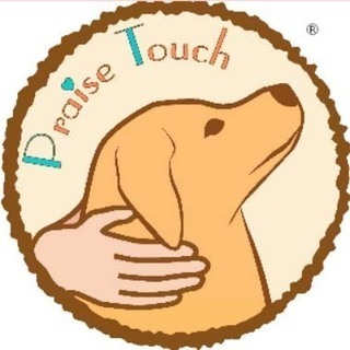 オンライン【犬のタッチケア】プレイズタッチ®パートナーズ・セミナ...