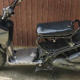 ZOOMER AF58-1018 不動車