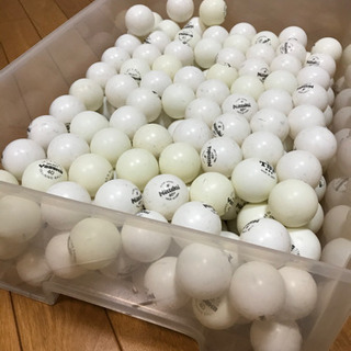卓球　練習用ロボットの画像
