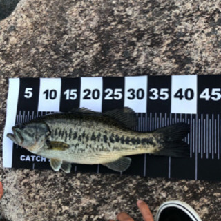 バス釣り部🎣部員募集中❗️ − 山梨県