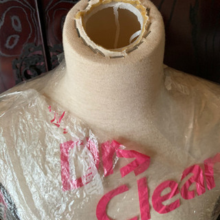 ボディ　美品🌟　出品写真が映えます❗️の画像