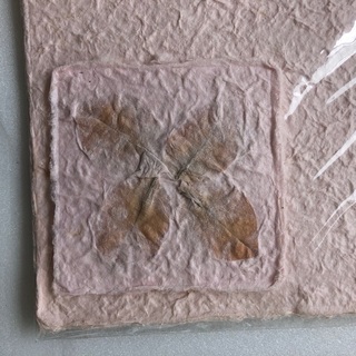 【未使用】和紙ランチョンマット&コースターの画像