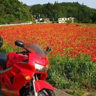 秩父近郊でツーリング仲間を募集します！