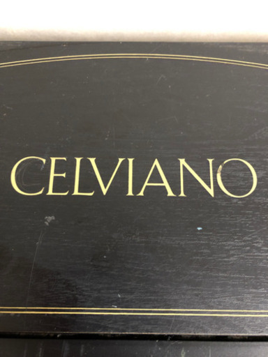 CASIO    CELVIANO    AP-30    電子ピアノ