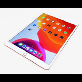 美品iPad Pro 10.5インチ 64GB 