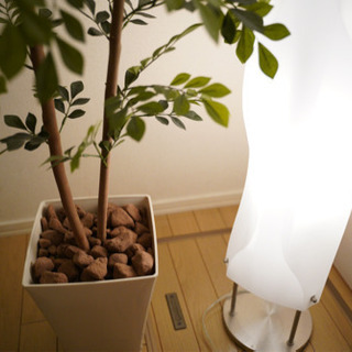 【美品、値下げ！！】お洒落照明器具と観葉植物（人工）セット売り！！の画像