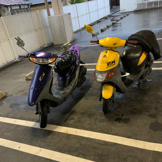 ライブDioZXの画像