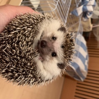 無事決まりました