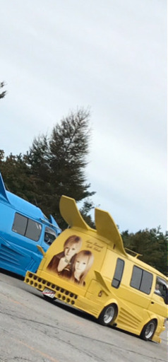 希少　バニング　リアウイング