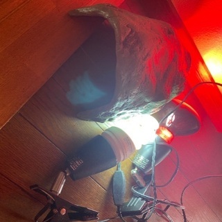 リクガメ用　電球他