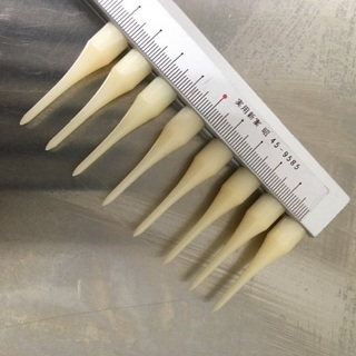 クリスケール　45cmの画像