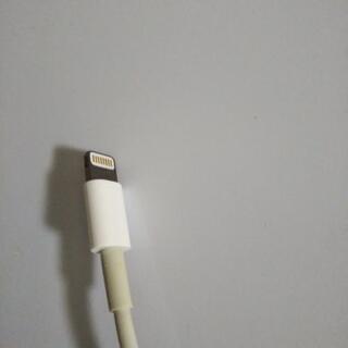 アップル純正品：ライトニングUSBケーブル（その2）の画像