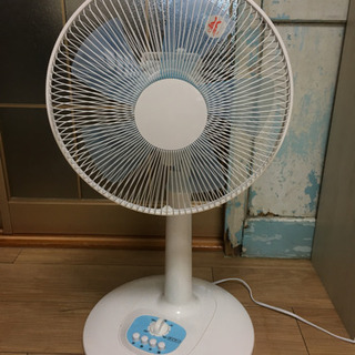 2019年製 扇風機 予定決まりました