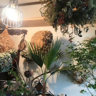 花屋さん🦜パパゲーナ - 地元のお店
