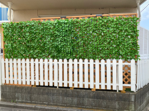 ラティス&フェイクグリーン