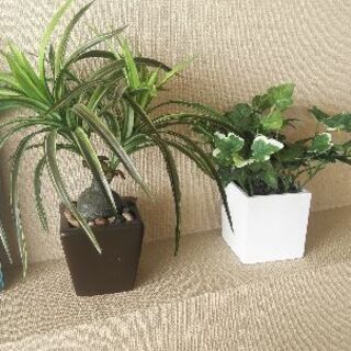 造花の植物の置物
