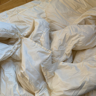 【商談中】ニトリ　シングル2枚合わせ羽毛掛ふとんの画像