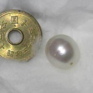 両穴南洋パール1粒-⑤★郵送のみ★
