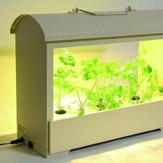 自粛が増えている中どうですか？　お部屋で家庭菜園　LED 野菜栽...