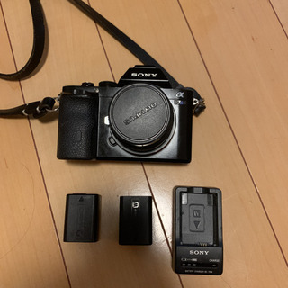 Sony a7s の画像