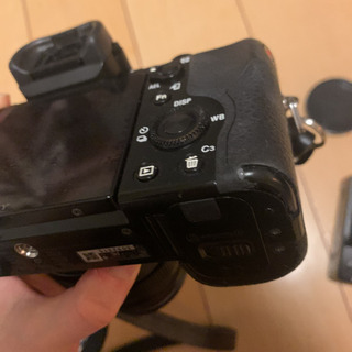 Sony a7s の画像