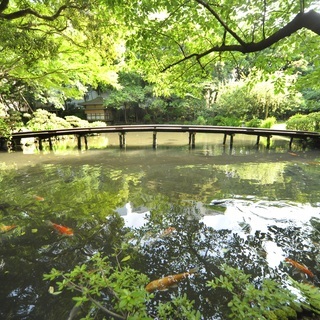 【茶道教室】歴史ある庭園内のお茶室にて＜JR静岡駅徒歩３分＞の画像