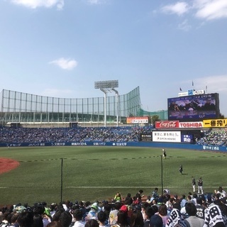 ヤクルトぐるちゃメンバー大募集❗️❗️❗️