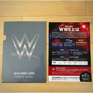 新品 WWE Live ♪ 非売品 アメリカ合衆国 プロレス団体 クリアファイルの画像