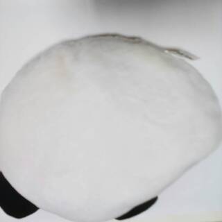 【値下げ】サイパンダ　クッション＆枕の画像