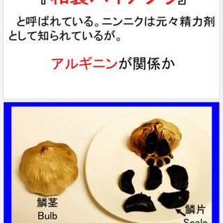 お財布の中が緊急事態の人に‼️の画像