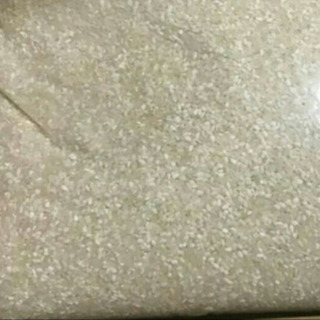 お米10kg