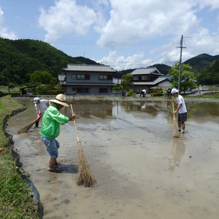 必要最低限のお金で豊かに暮らす、共有農場 - 大阪市