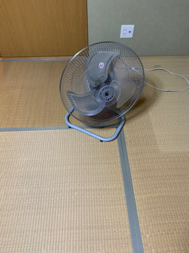 大きい扇風機