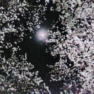亀岡市で居合道❗会員募集❗の画像