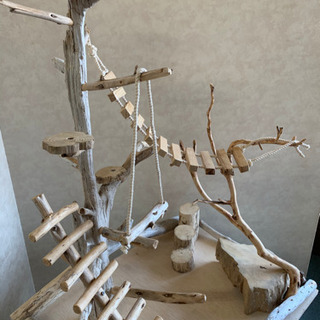 鳥決まりましたインコ止まり木 流木バードアスレチック 大サイズバードジムバードトイパーチの画像