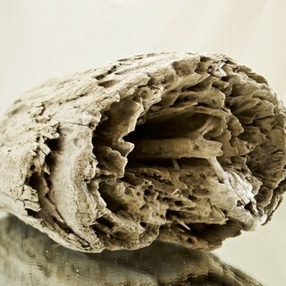 SEASIDEinterior★インテリアディスプレイに流木の画像