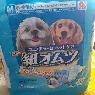 ペット用　紙おむつ　