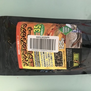 【1,000円】フトアゴヒゲトカゲの昆虫ブレンドフード と水温計の画像