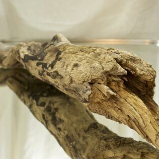 SEASIDEinterior★インテリアディスプレイに流木5の画像