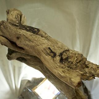 SEASIDEinterior★インテリアディスプレイに流木5