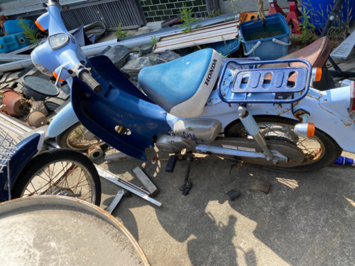リトルカブ  C50L2-YB