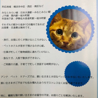 感謝感激‼️