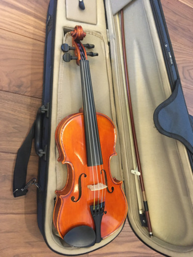 スズキ　バイオリン　分数　1/2　2015　予備の弦付（e, a, d線）