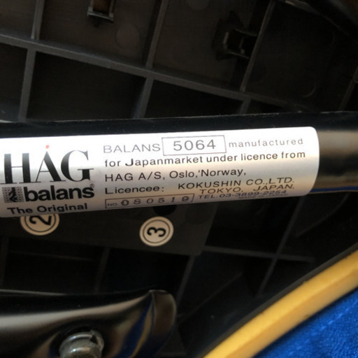 HAG バランスチェア 背もたれ付き ホーグ チェア 矯正