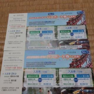 ナガシマリゾートパスポート２枚セット