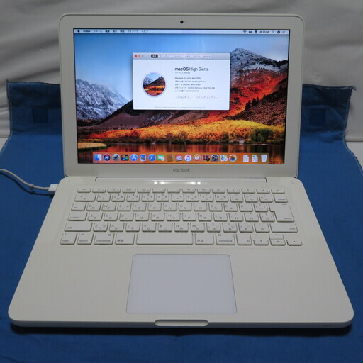 Mac MacBook (Mid 2010) MC516xx/A (MacBook7,1) [White]